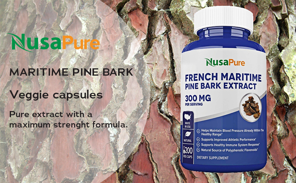 French maritime pine bark extract что это